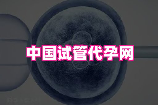 69助孕网 1