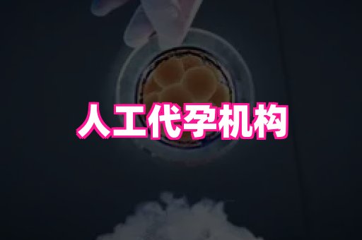 69助孕网 2