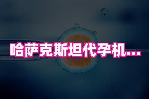 69助孕网 3